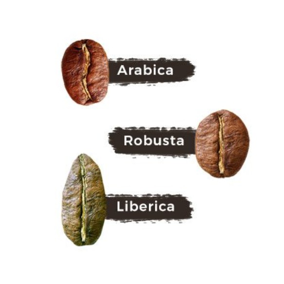 1kg Liberica coffee beans (green bean) | Shopee Malaysia