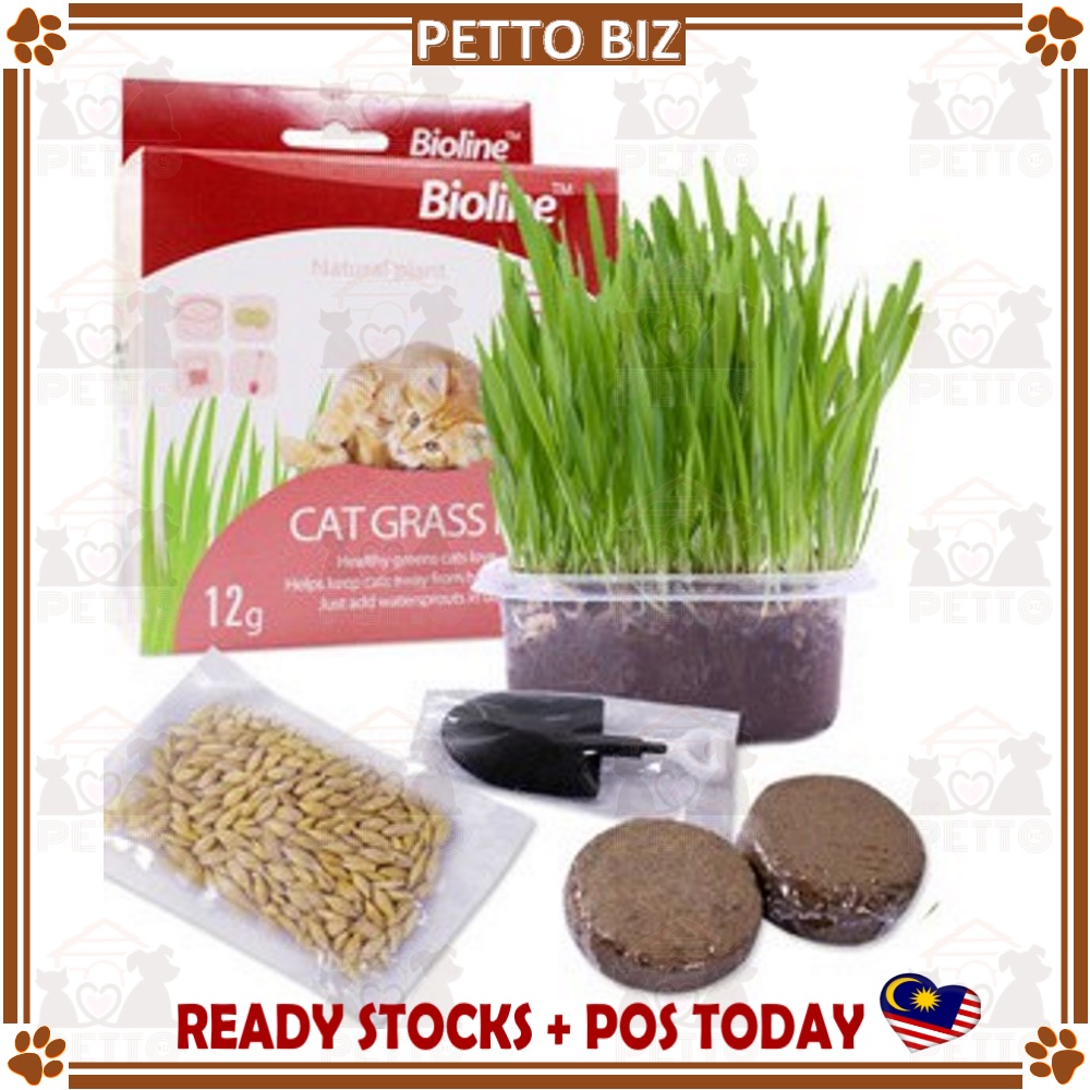 Bioline Cat Grass Kit 12g Self Grow Natural Pure Healthy Stomach Pet Food Plant Cats Digestion
