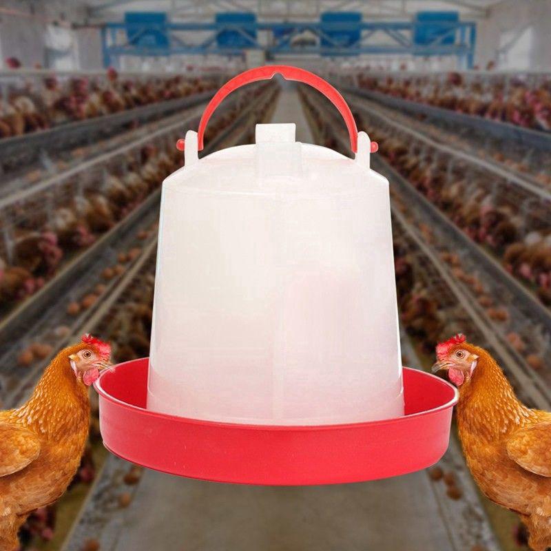 1pc Chicken Feeder Drinker Poultry Chick Hen Quail Bantam Food