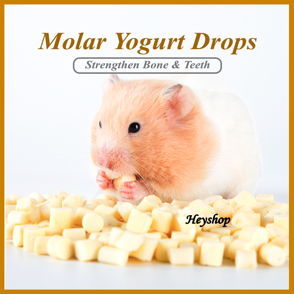 Molar Yogurt Drop / Cheese Cube 45g Small Animal Snack / Sugar Glider Treat / Hamster Food