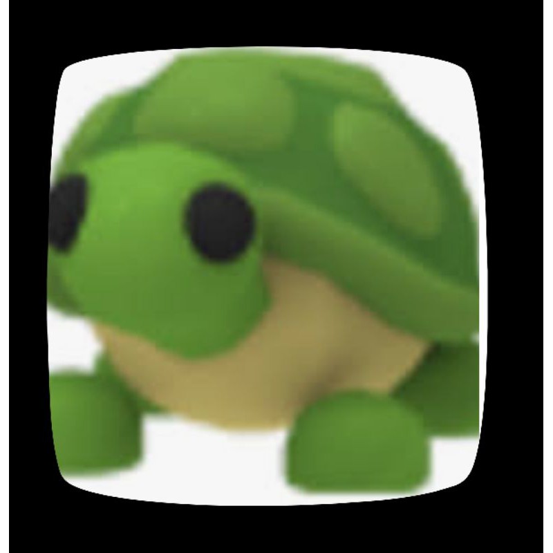 roblox adopt me tiny turtle