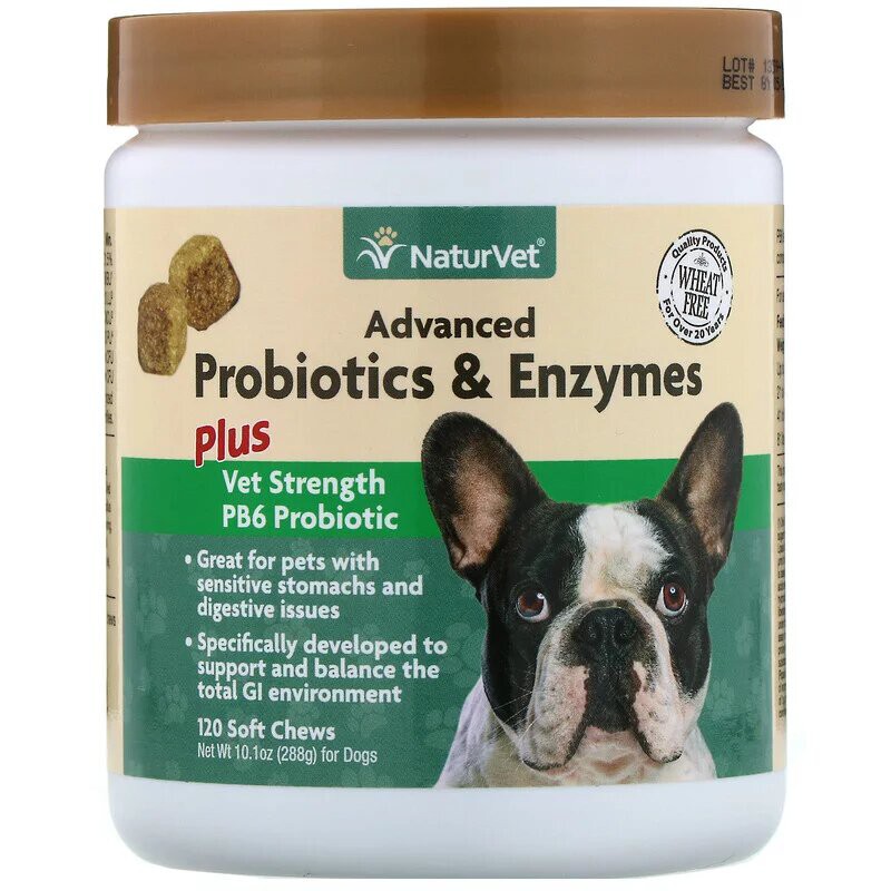broad spectrum probiotic for dogs