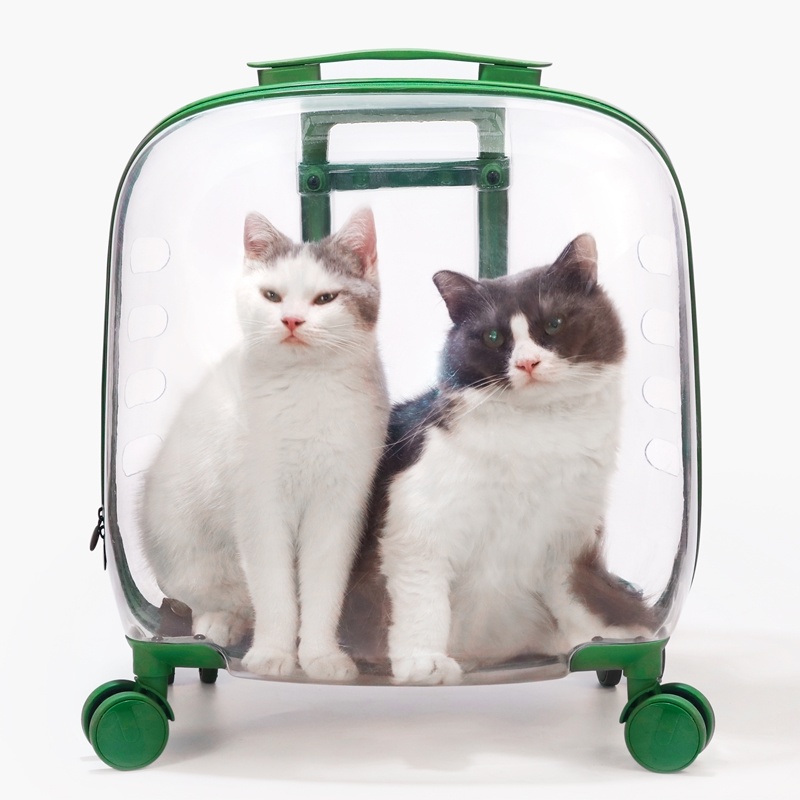 Cat Bag猫包外出便携拉杆行李箱猫背包大容量太空舱宠物携带夏天猫咪书包 Shopee Malaysia