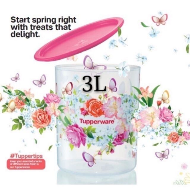 Tupperware One Touch Spring Garden 3L (1)