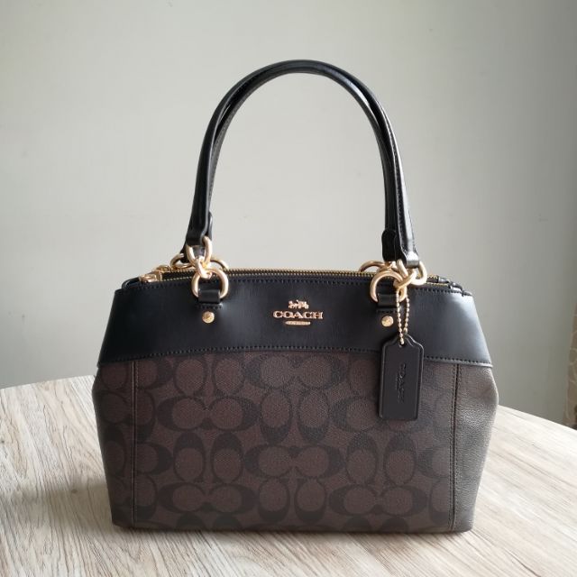 mini brooke carryall coach