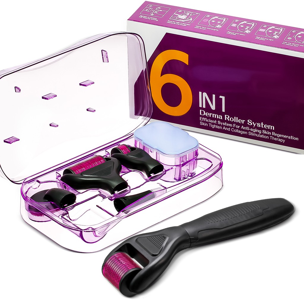 🔥STOCK🔥6 in 1 Titanium Derma Roller Kit Micro Needle Therapy Acne Scars  Pro Kit     DermaRoller | Shopee Malaysia