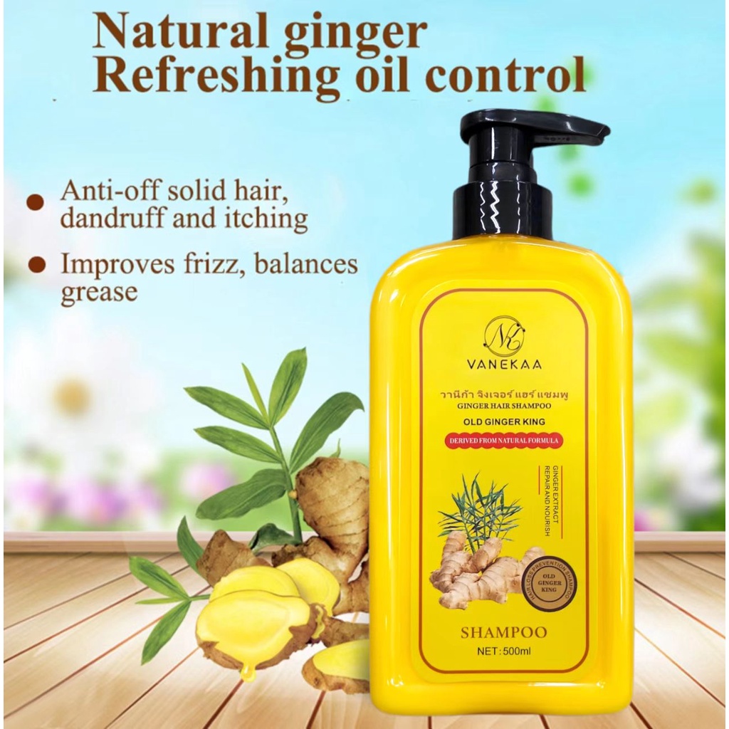 Ginger Hair Shampoo Anti Loss Oil Control VANEKAA -500ML 老姜王洗发水