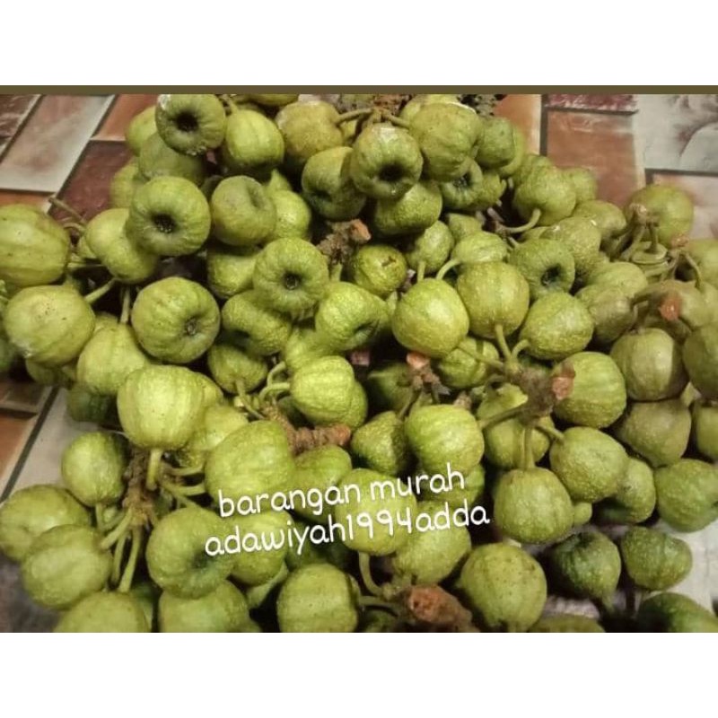 Buy Buah Ara Kambing Buah Ara Masak Umpan Ikan Fresh 1kg Buah Ara Disungai Beli 5kg Free 1kg Seetracker Malaysia