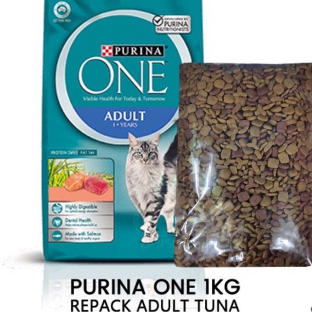 purina one dry cat food