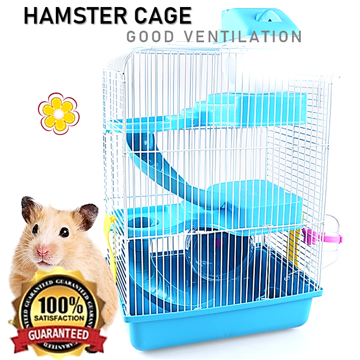 Hamster Tubes Free