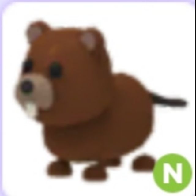 Roblox Adopt Me Bear