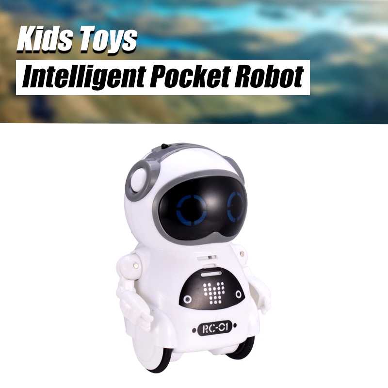 pocket robot