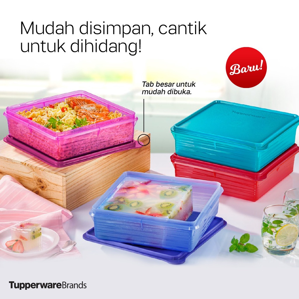 Tupperware B2B Snack Stor (2.9L) | Shopee Malaysia