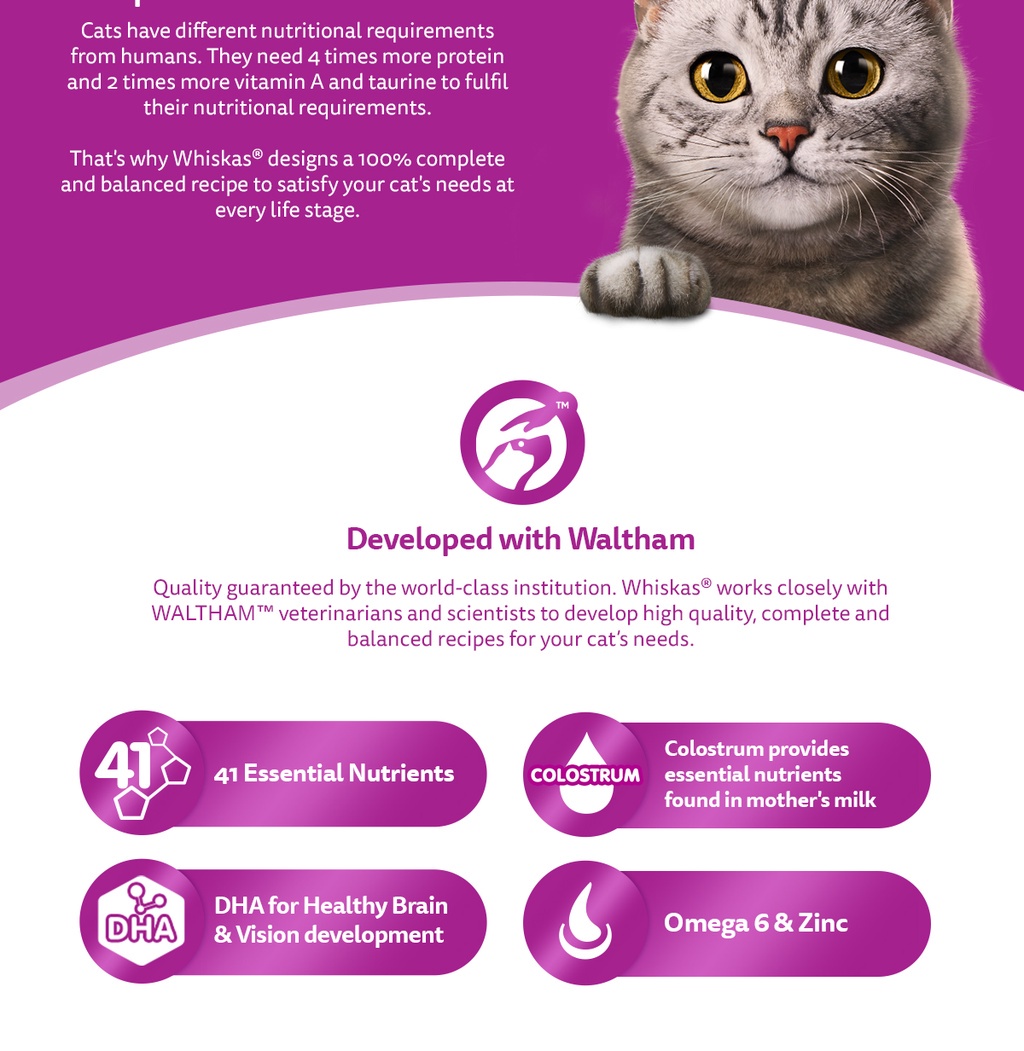 WHISKAS Junior Mackerel Flavor with Milk Kitten Food, 1.1 kg. Dry Cat