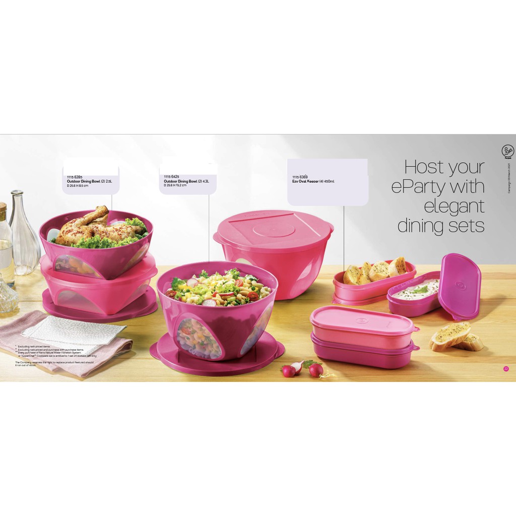 Tupperware Outdoor Dining Bowl Set