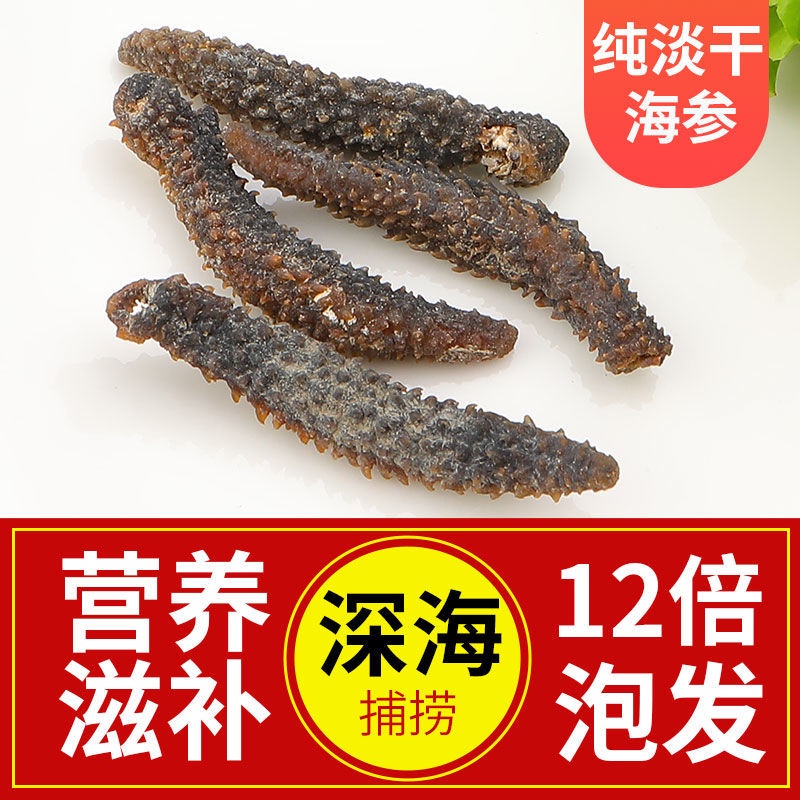 大人気 えるみストア北海道産 純淡干 黒 海参 500G入 Mサイズ 特A級品