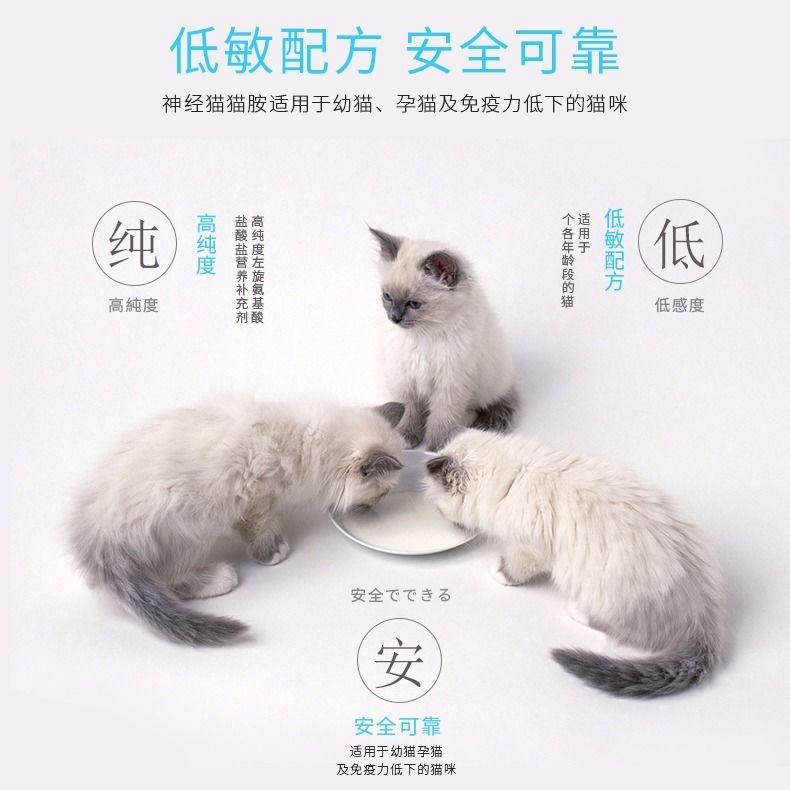 ✺◙Pet cat cold medicine sneezing cat amine lysine cat ammonia 