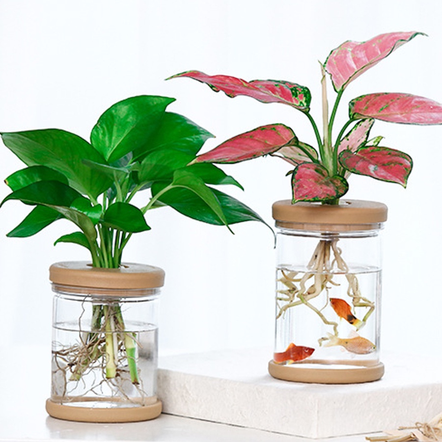 【HG】Transparent Hydroponic Flower Pot Imitation Glass Soilless Planting ...