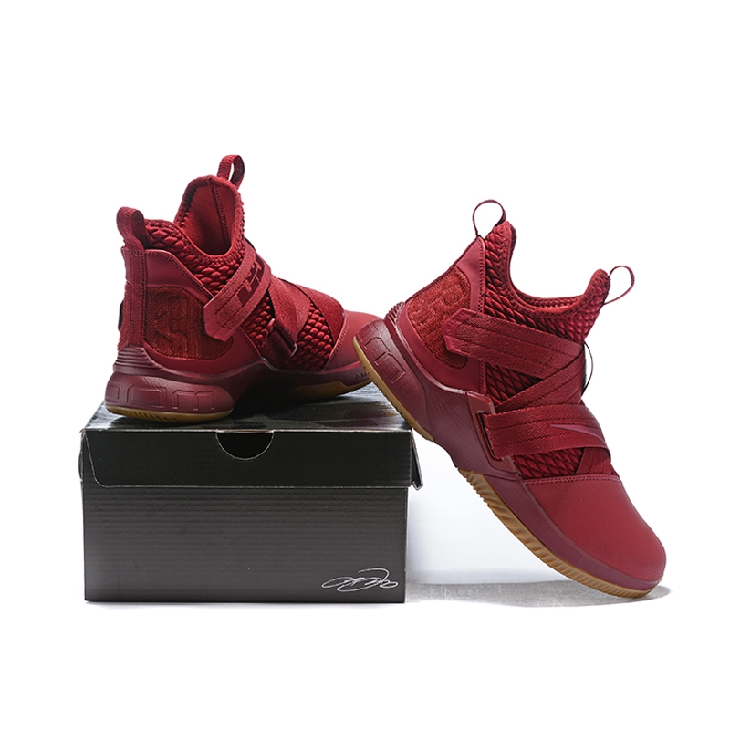nike zoom lebron james nike zoom lebron james