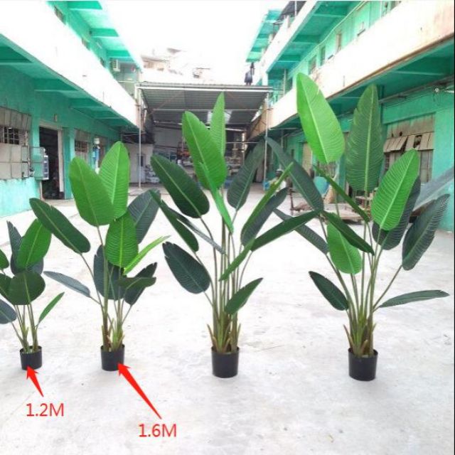 premium quality pokok pisang viral pokok plastik