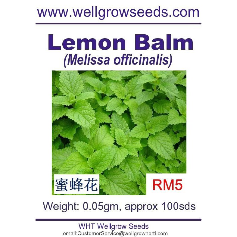 Get This Report on How Many Lemon Balm Seeds To Plant