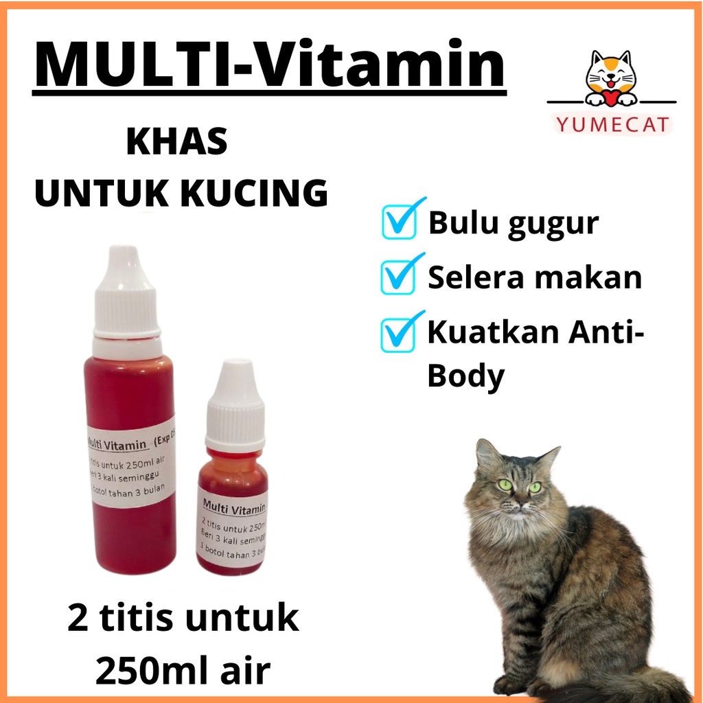 Ubat Selsema Kucing Prices And Promotions Jul 2022 Shopee Malaysia