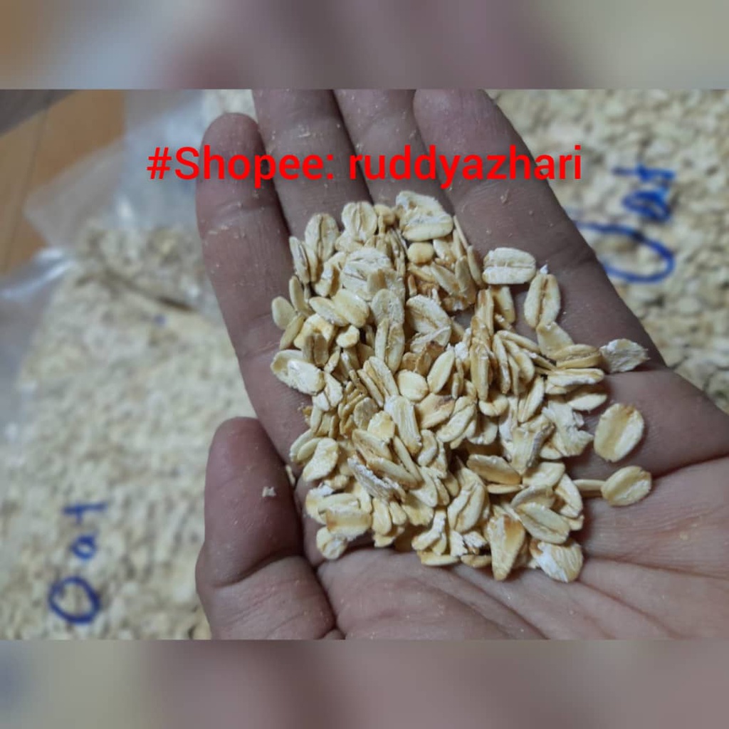 BIJIRIN OAT UNTUK ARNAB, GUINEA PIG & CHINCHILLA 500gram | Shopee Malaysia