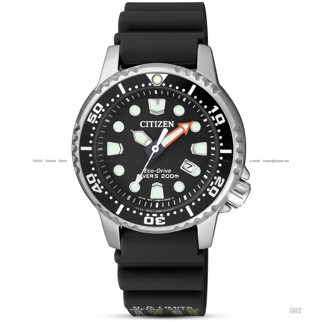 citizen womens dive watch