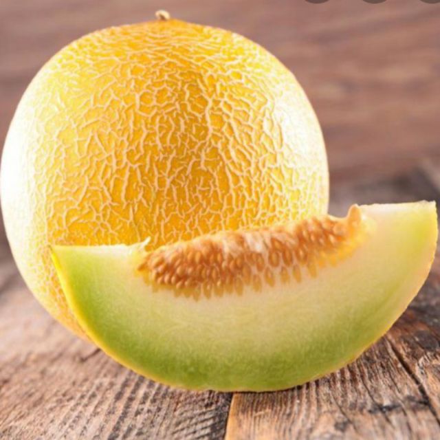 12pcs Honey Dew Melon Seeds Selected Benih Tembikai Susu Terpilih Shopee Malaysia