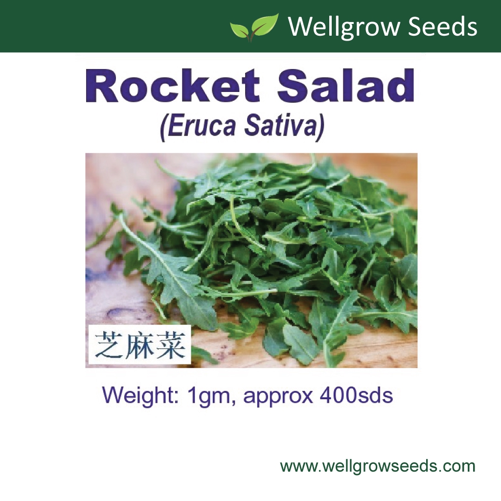 Rocket Salad Arugula Seeds 1gm Approx 400 Sds 芝麻菜 Shopee Malaysia