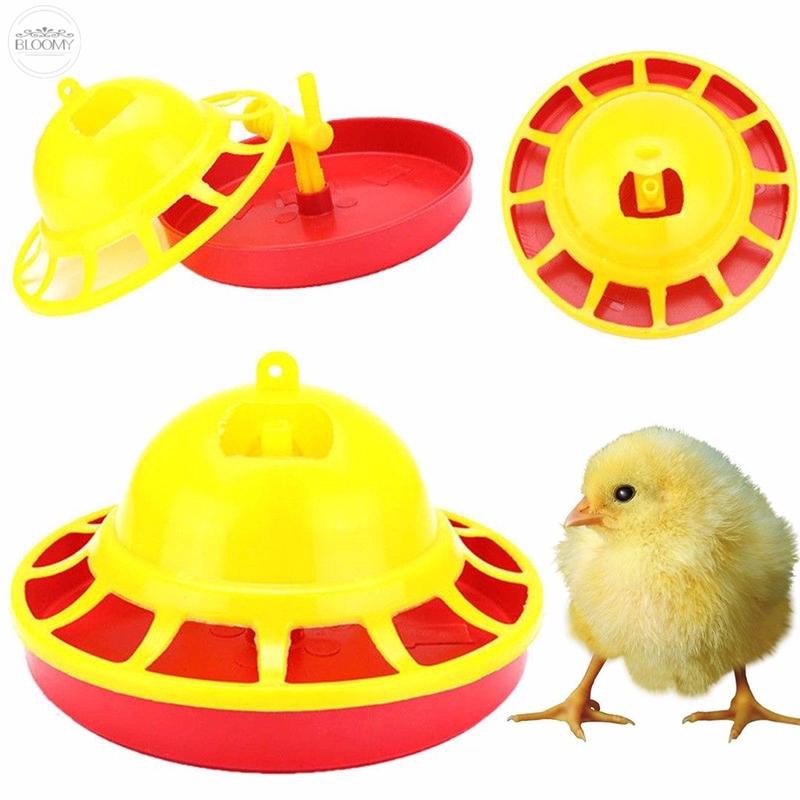 Plastic Chicken Hen Automatic Drinker Feeder Poultry Water
