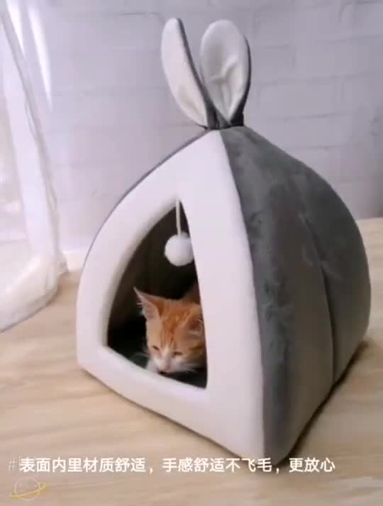 Buy (READY STOCK KL) Cat Bed Katil Kucing Cute Style Pet Bed Pet 