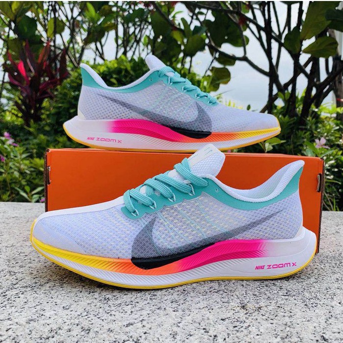 nike x pegasus