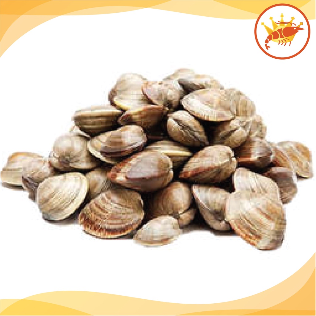 Hard Clam Full Shell 21/25 / Kerang Lala Besar 500g(SELANGOR) Shopee Malaysia
