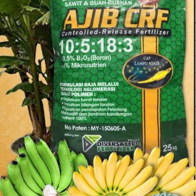 Baja Pokok Pisang Buah Berat 25kg Shopee Malaysia