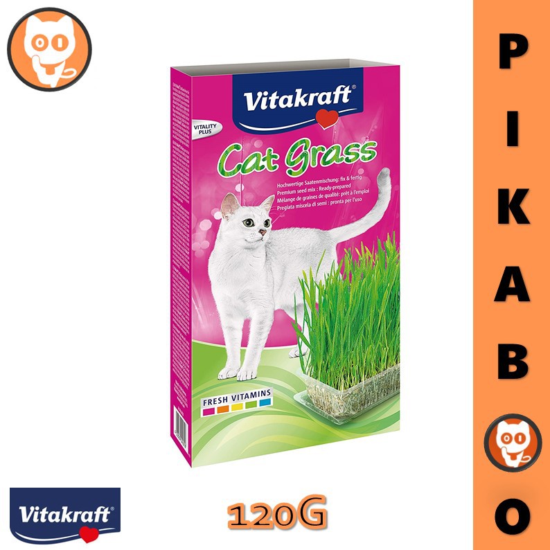 Buy Misha Cat Dry Food 8KG - Cat Food /Makanan Kucing (Chicken 