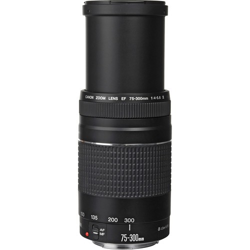 Canon Ef 75 300mm F 4 5 6 Iii Lens Canon Malaysia 1 Year Warranty Shopee Malaysia