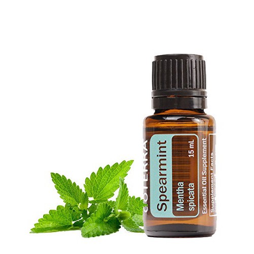 Authentic - doTERRA Spearmint Essential Oil 15ml (Digestion Blend ...