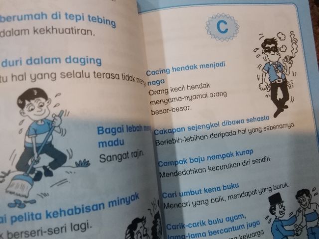 Carik-carik bulu ayam peribahasa