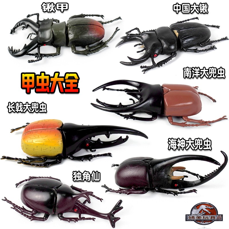 rhinoceros beetle toy
