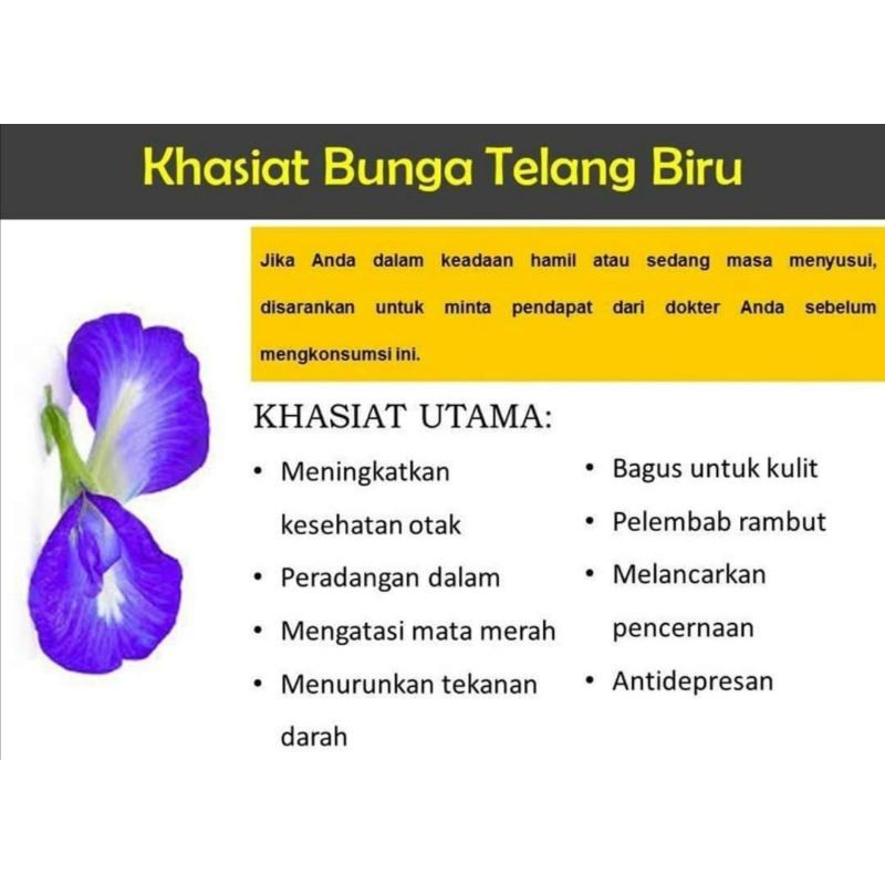 Talang bunga Bunga Telang Talang bunga AIR BUNGA