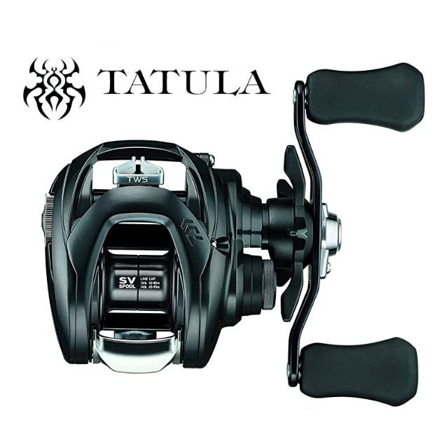 daiwa tatula sv tw saltwater