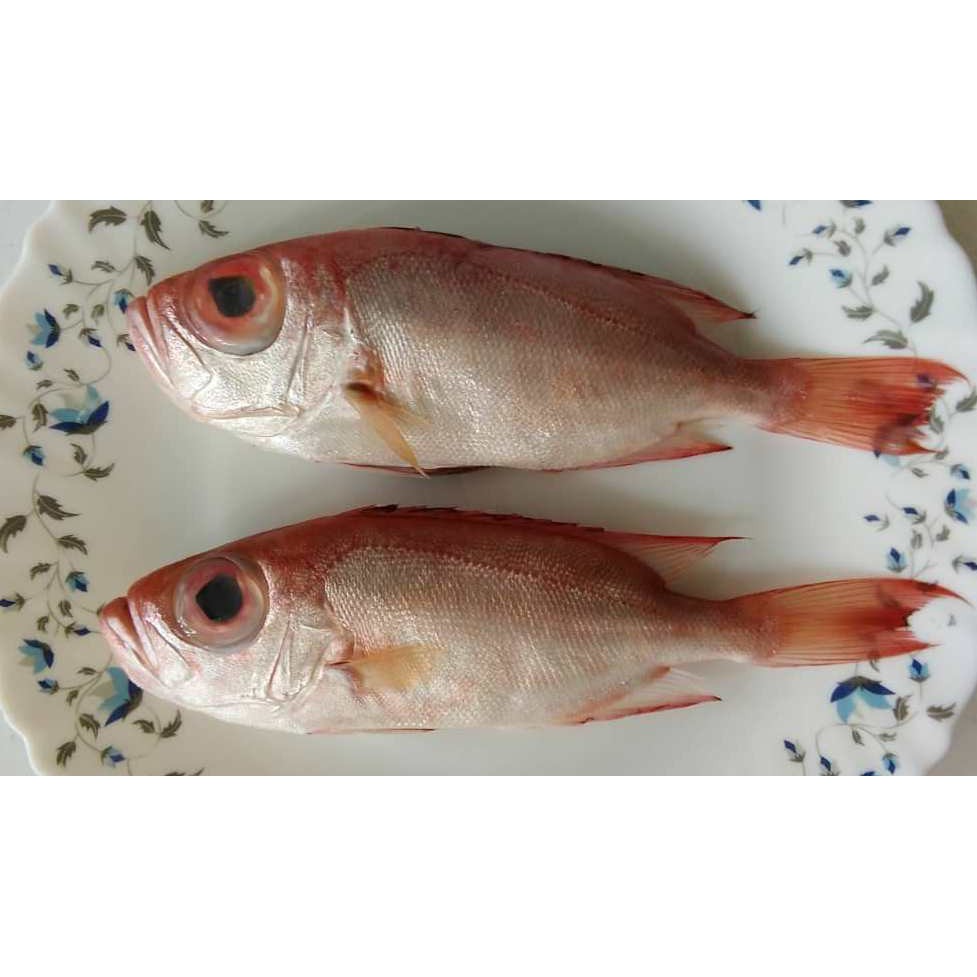 Ikan Merah Mata Besar 0 5 Kg Pack Shopee Malaysia