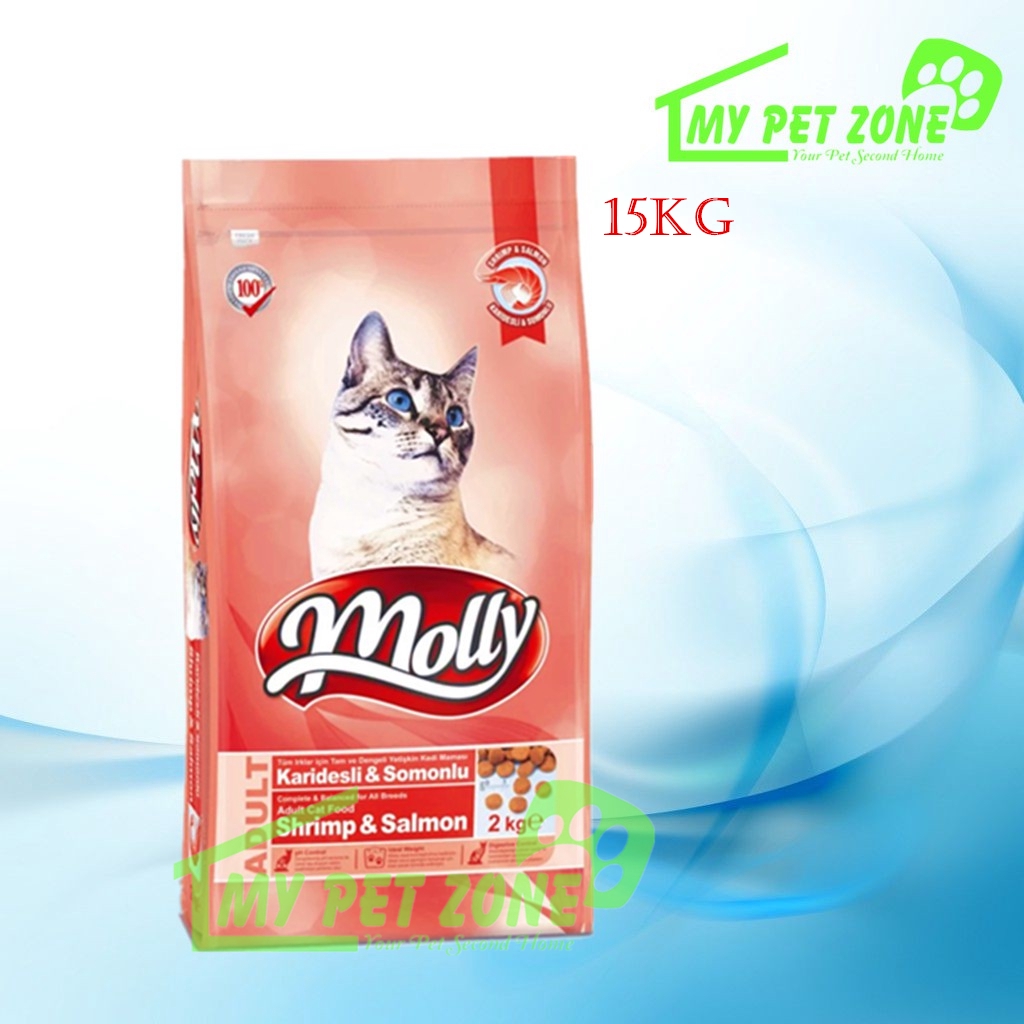 molly cat food