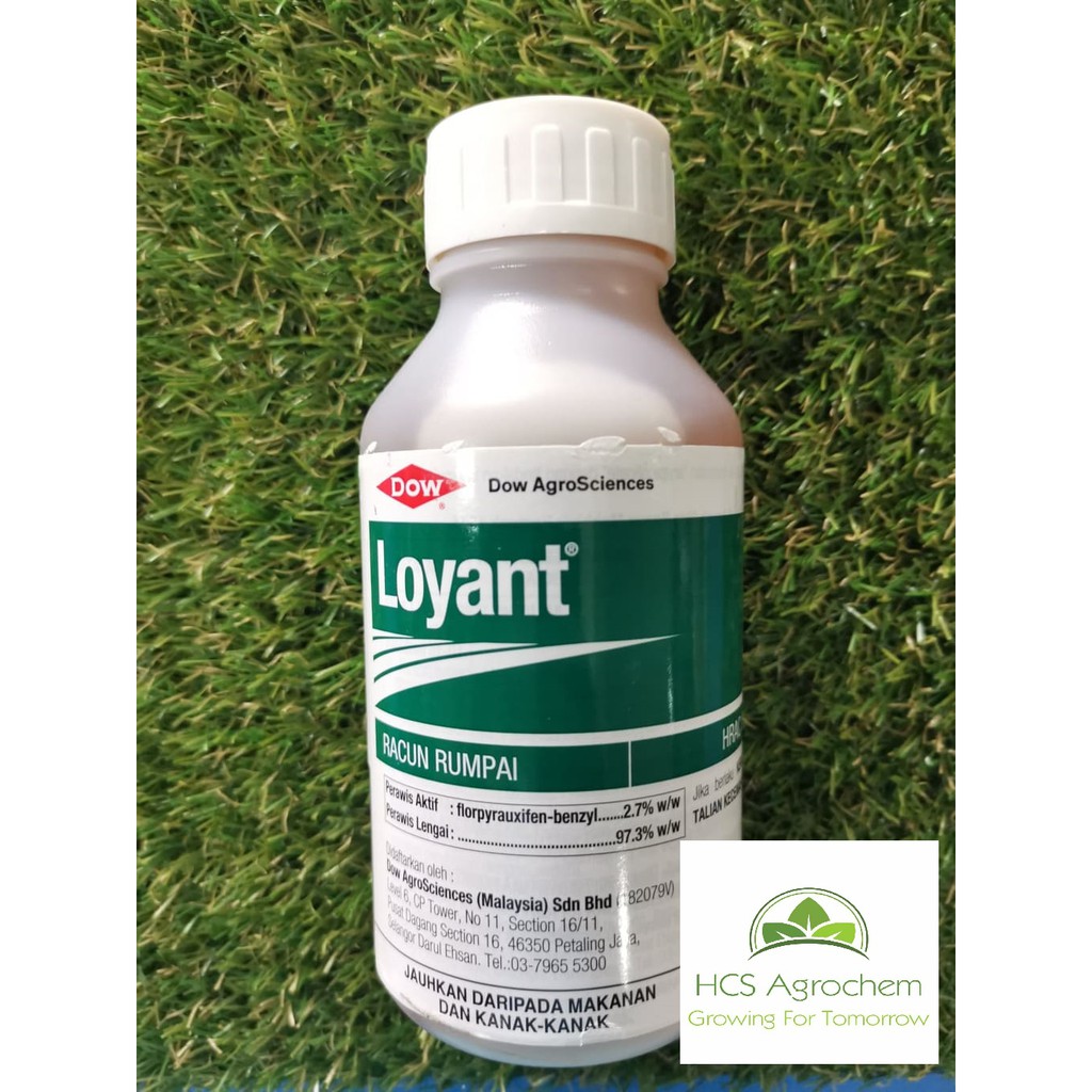 (+-500ML) Racun rumput padi Loyant Dow AgroSciences