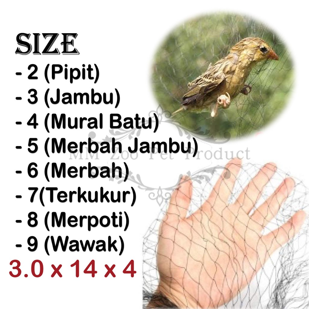 27+ Burung punai jambu terupdate