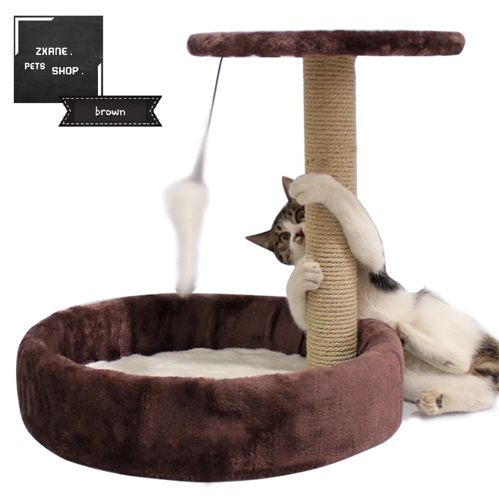 cat scratcher shopee