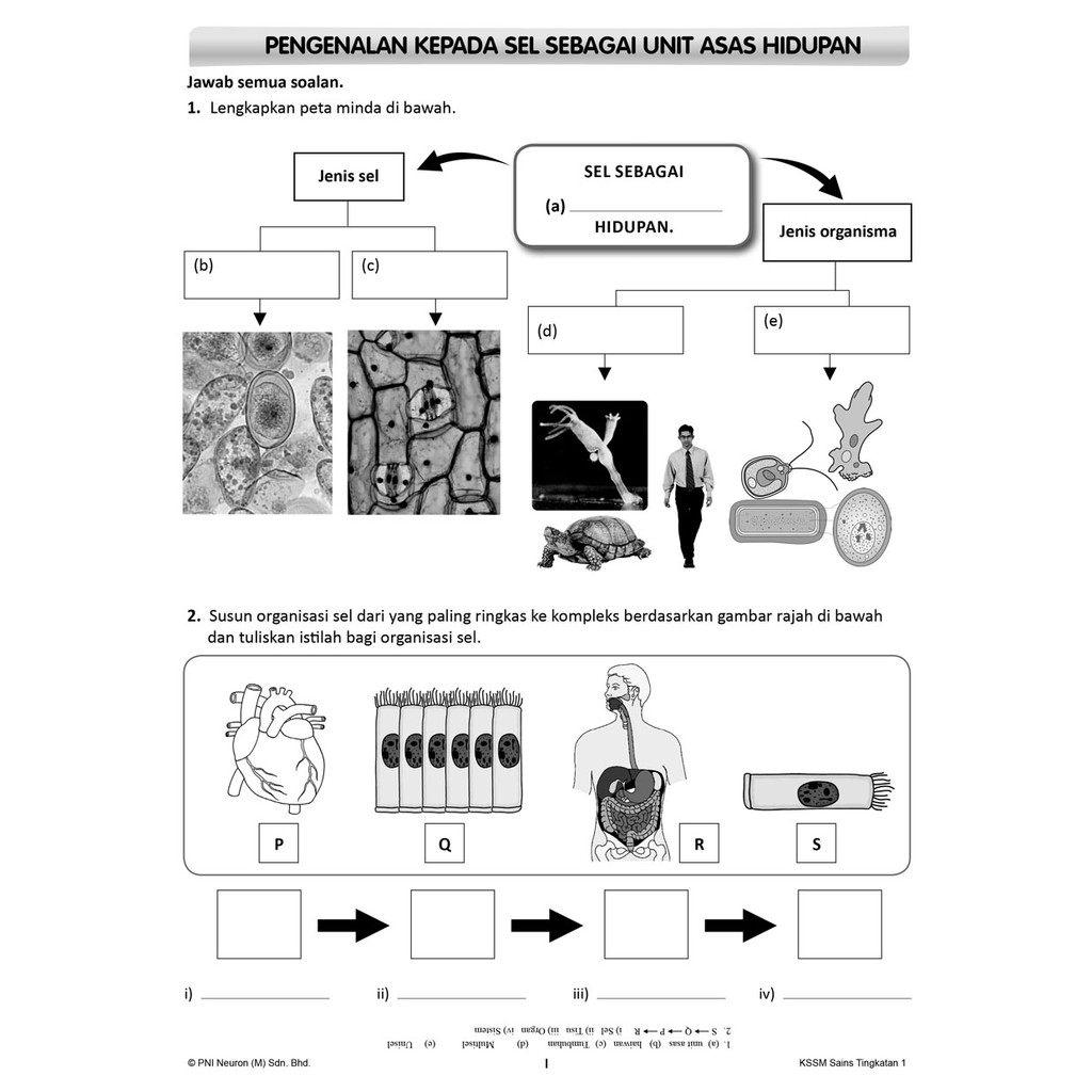 Riang Belajar KSSM Sains Tingkatan 1 (Buku Latihan Topikal & Nota 