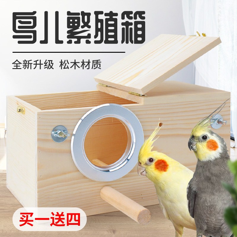 cockatiel accessories