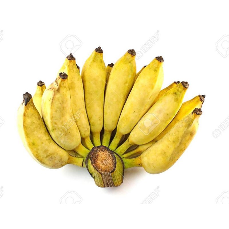 1SIKAT Pisang Awak Segar Dari Ladang Fresh Banana | Shopee Malaysia